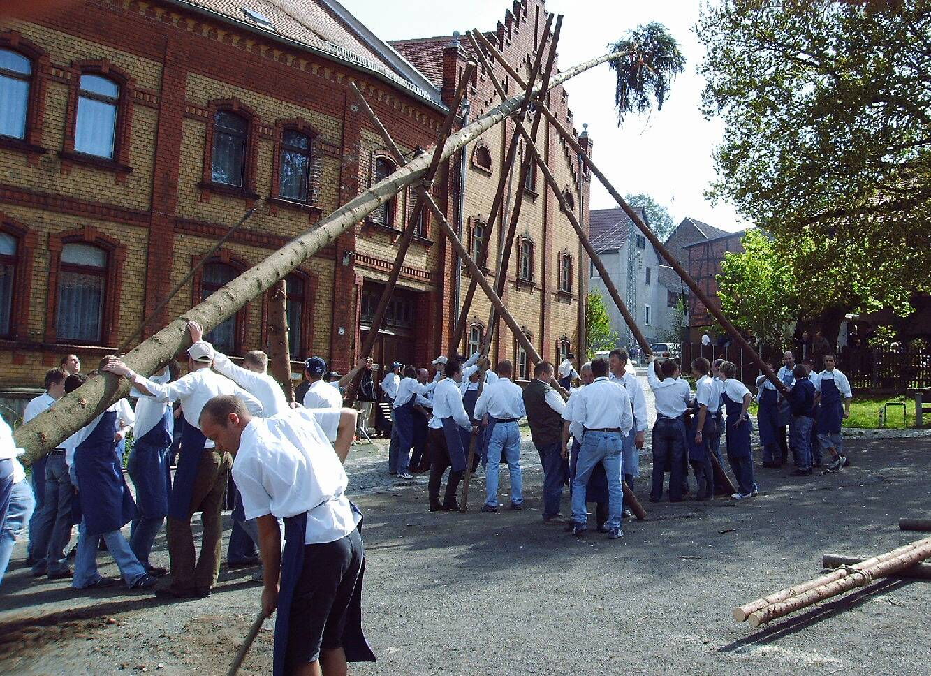 Eine Gruppe von Menschen hebt gemeinsam einen Maibaum vor einem historischen Gebäude in die Höhe.