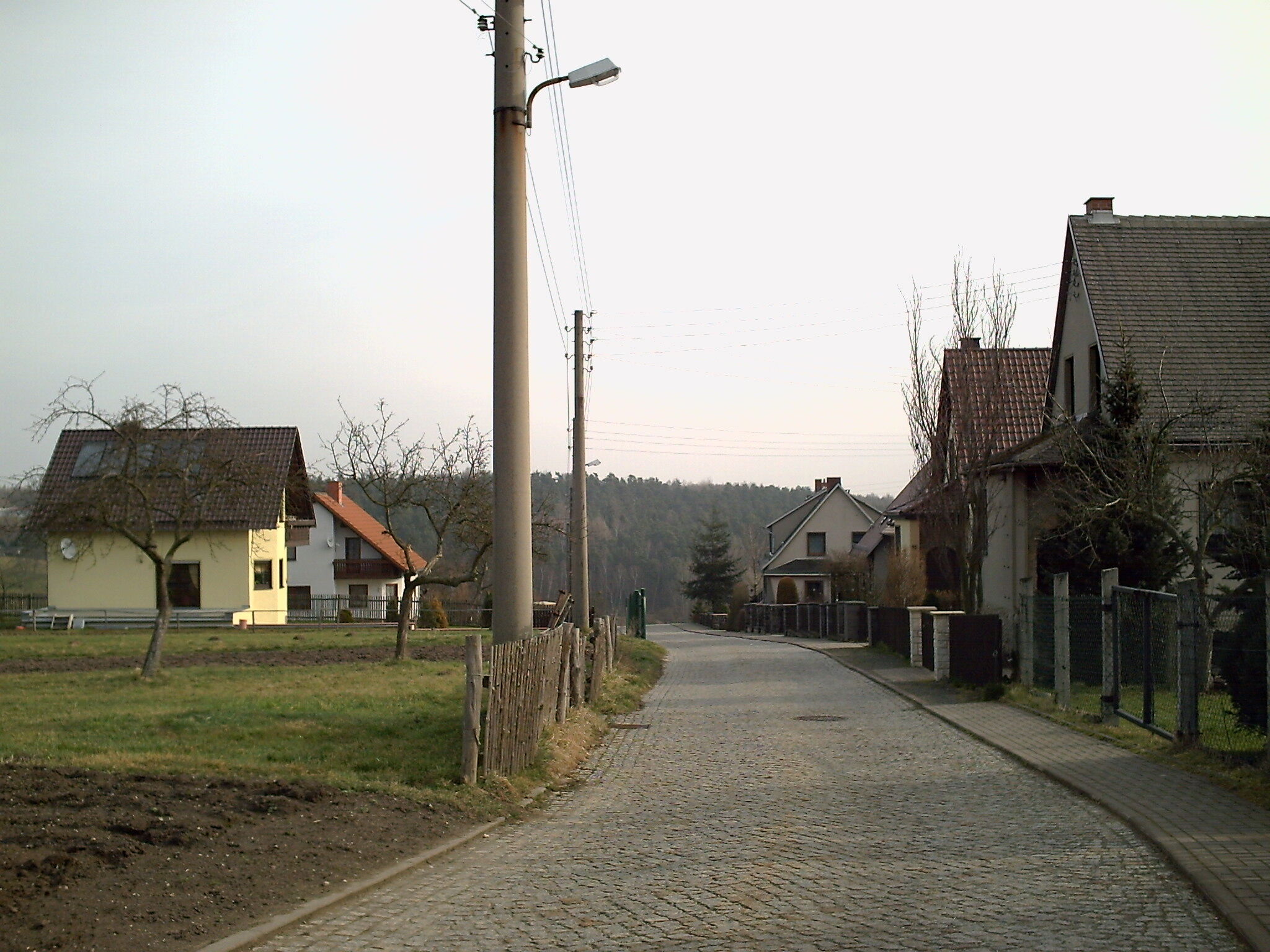 Eine ruhige Dorfstraße mit Häusern und kahlen Bäumen säumt den Weg in einer idyllischen ländlichen Umgebung.