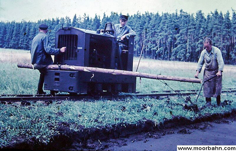 Drei Männer arbeiten 1959 an der Moorbahn in Bad Klosterlausnitz, um einen langen Holzstamm auf schmalen Gleisen durch ein Waldgebiet zu transportieren.