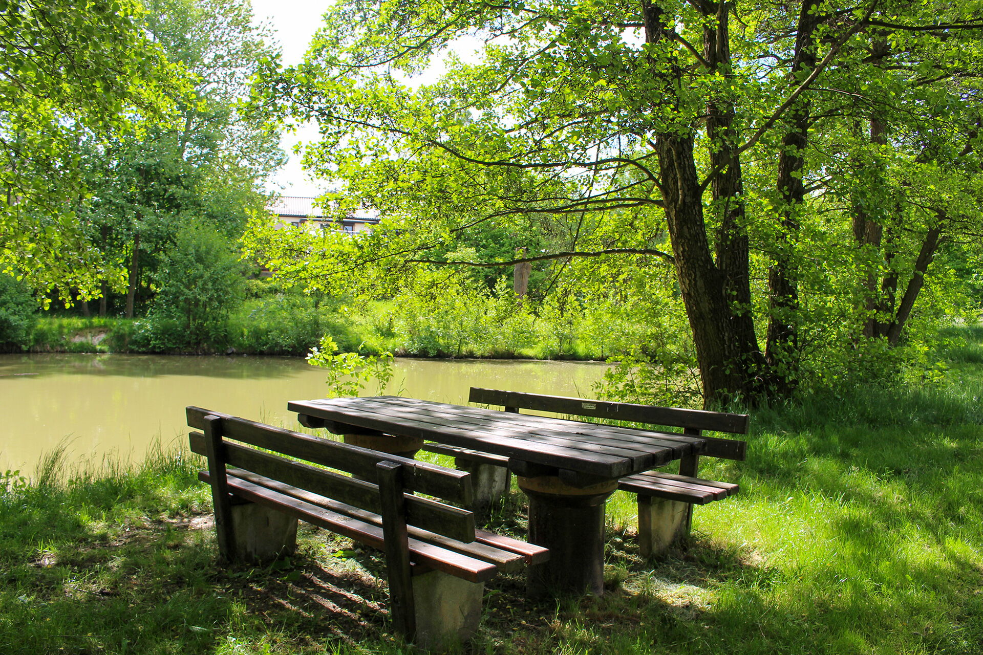 Eine Holzbankgruppe steht idyllisch im Schatten großer Bäume am Ufer eines ruhigen Teichs im Park Klengel.