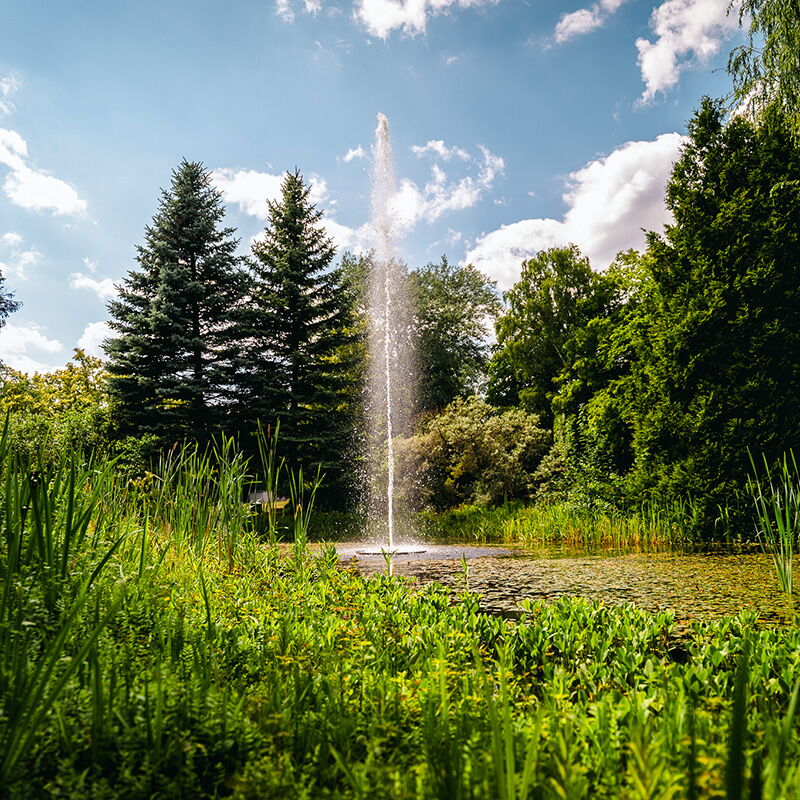 Ein hoher Springbrunnen sprudelt im Kurpark von Bad Klosterlausnitz, umgeben von üppigem Grün und strahlendem Himmel.