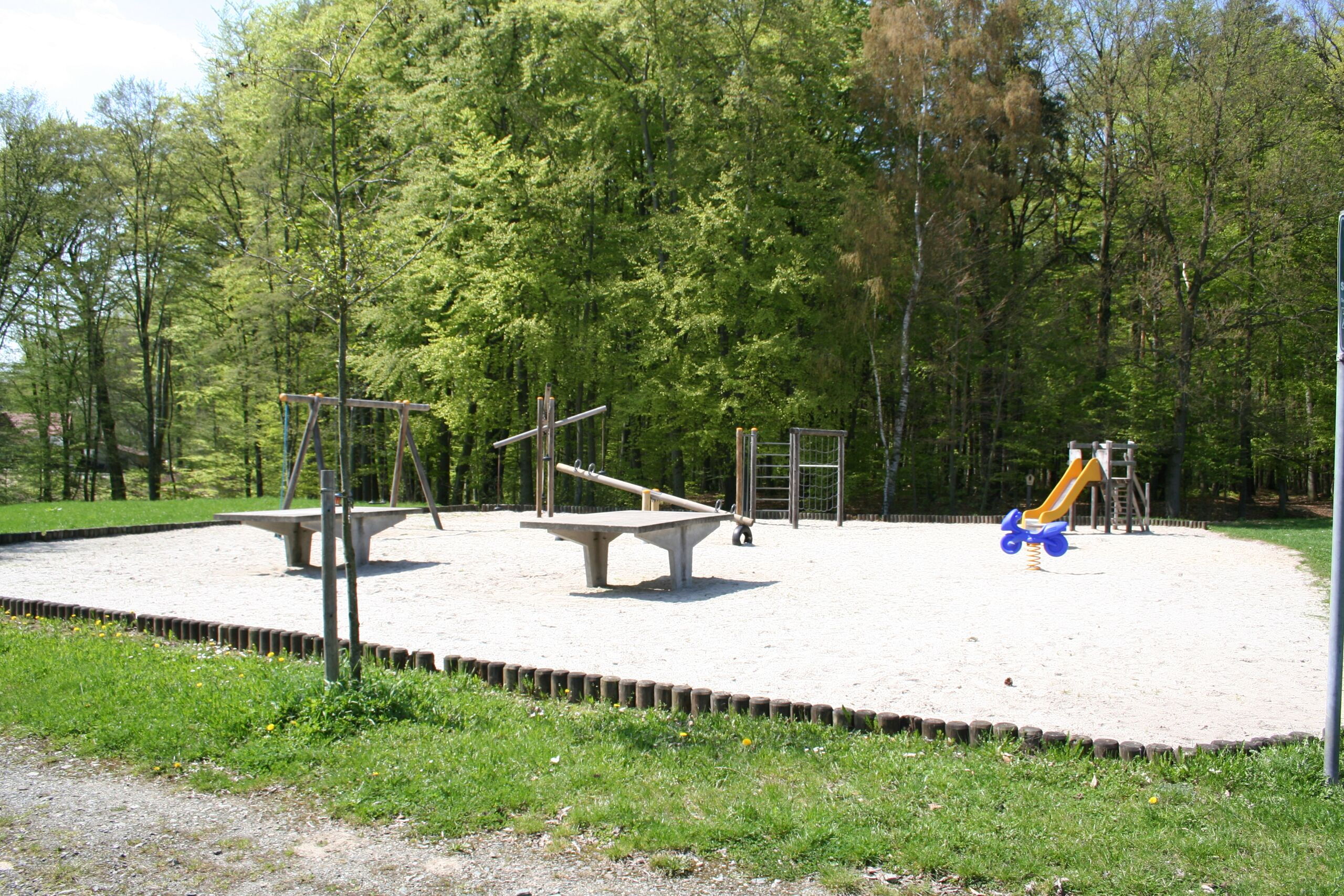 Ein leerer Spielplatz mit Schaukeln und Rutsche liegt sonnig inmitten eines grünen Waldgebiets.