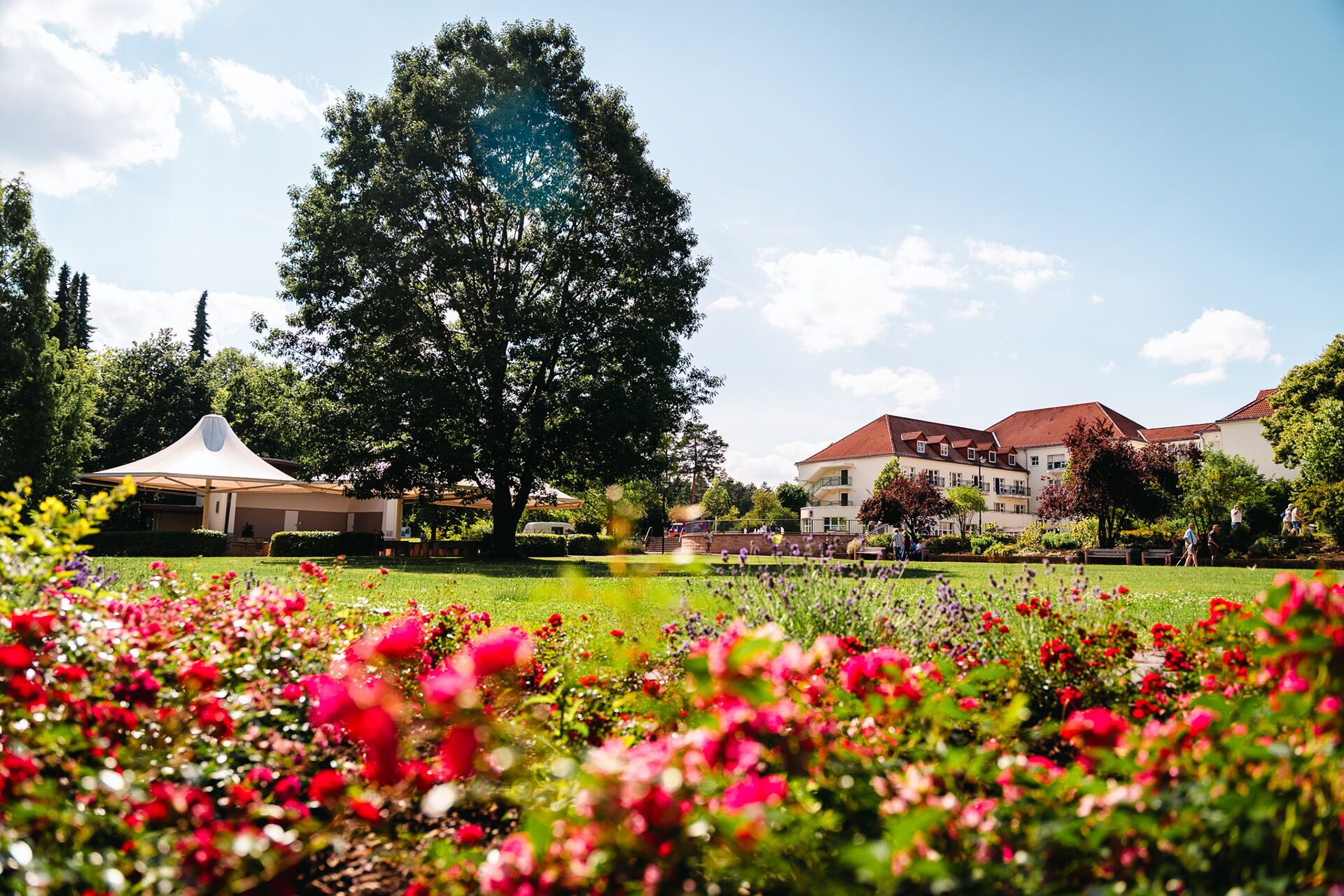 Ein großer Baum und bunte Blumen schmücken die gepflegte Kurparkanlage vor der Moritzklinik unter klarem Himmel.
