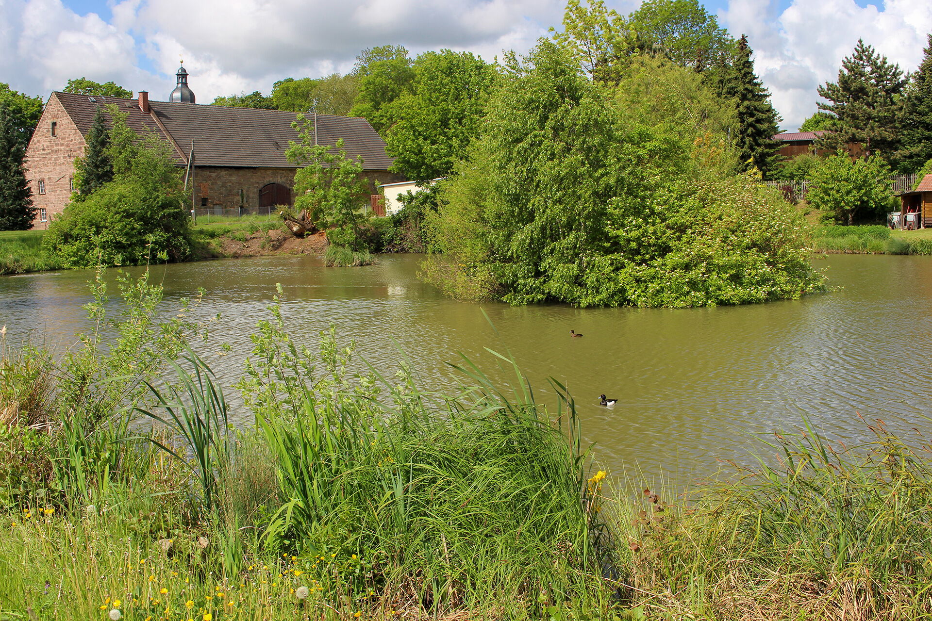 Der idyllische Brauteich mit Enten vor dem historischen Rittergut in der Gemeinde Serba.