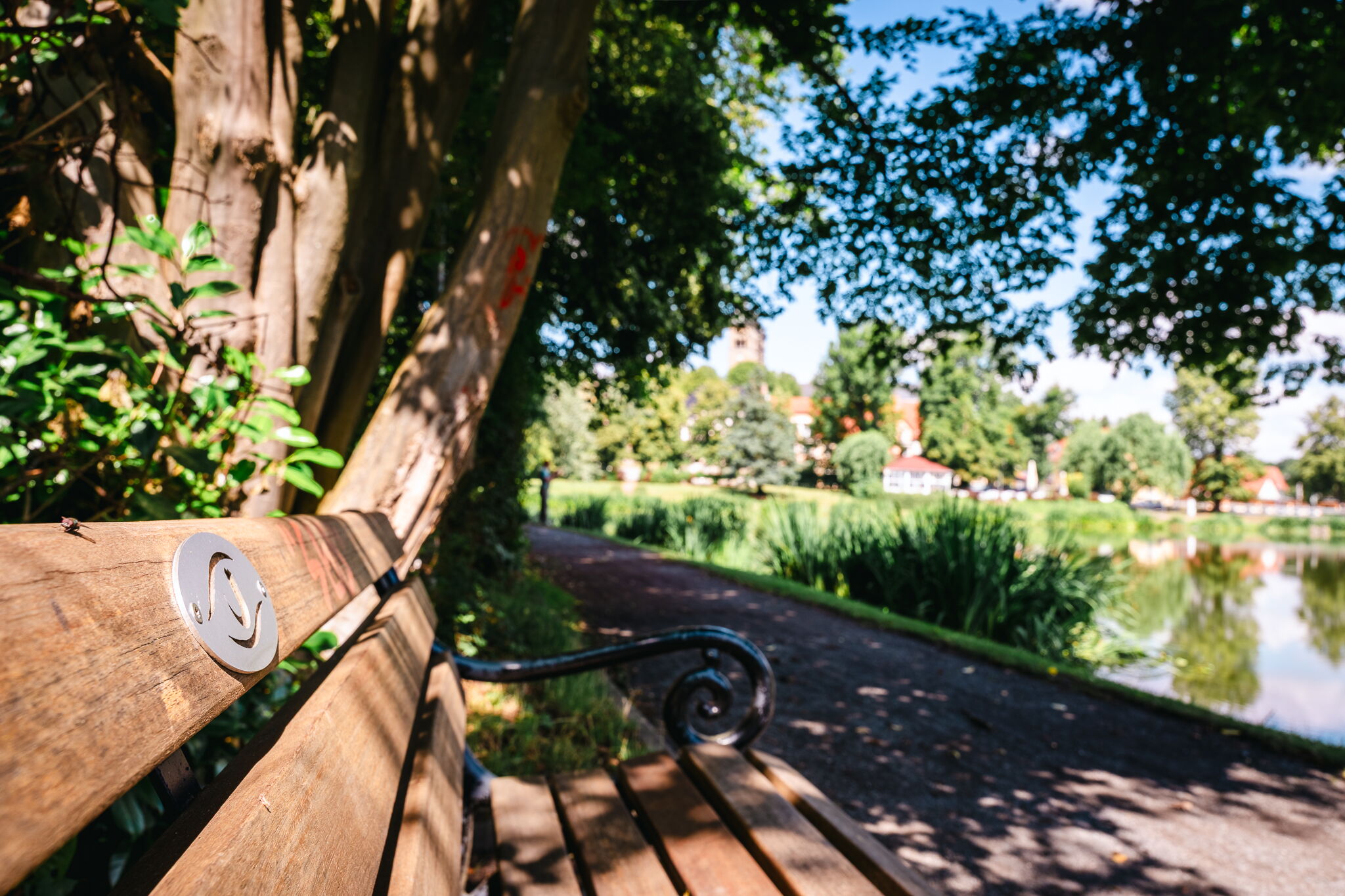 Eine hölzerne Bank steht im Schatten eines Baumes mit Blick auf einen idyllischen See in Bad Klosterlausnitz.