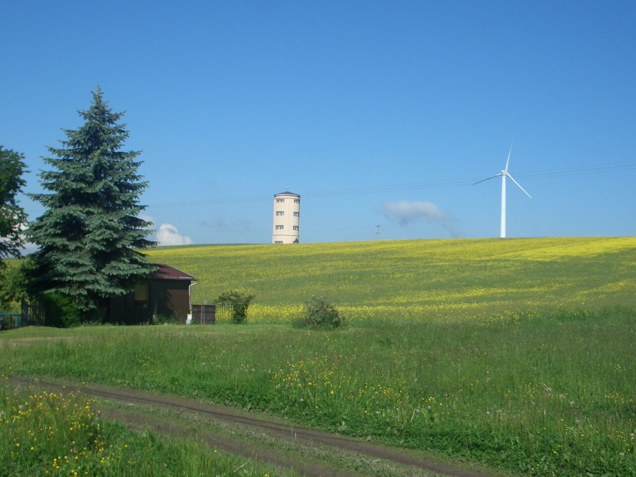 Ein grünes Feld mit einem Windrad und einem Turm unter blauem Himmel, neben einem kleinen Haus und einem Baum.