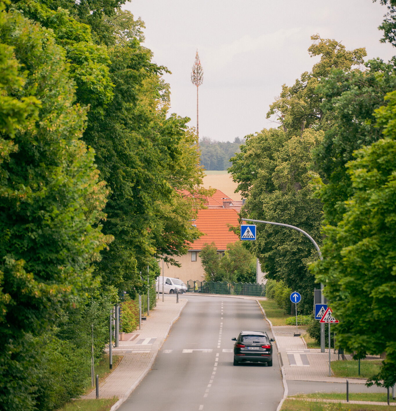 Ein Auto fährt eine schmale, von Bäumen gesäumte Landstraße entlang, mit einem hohen Maibaum im Hintergrund.