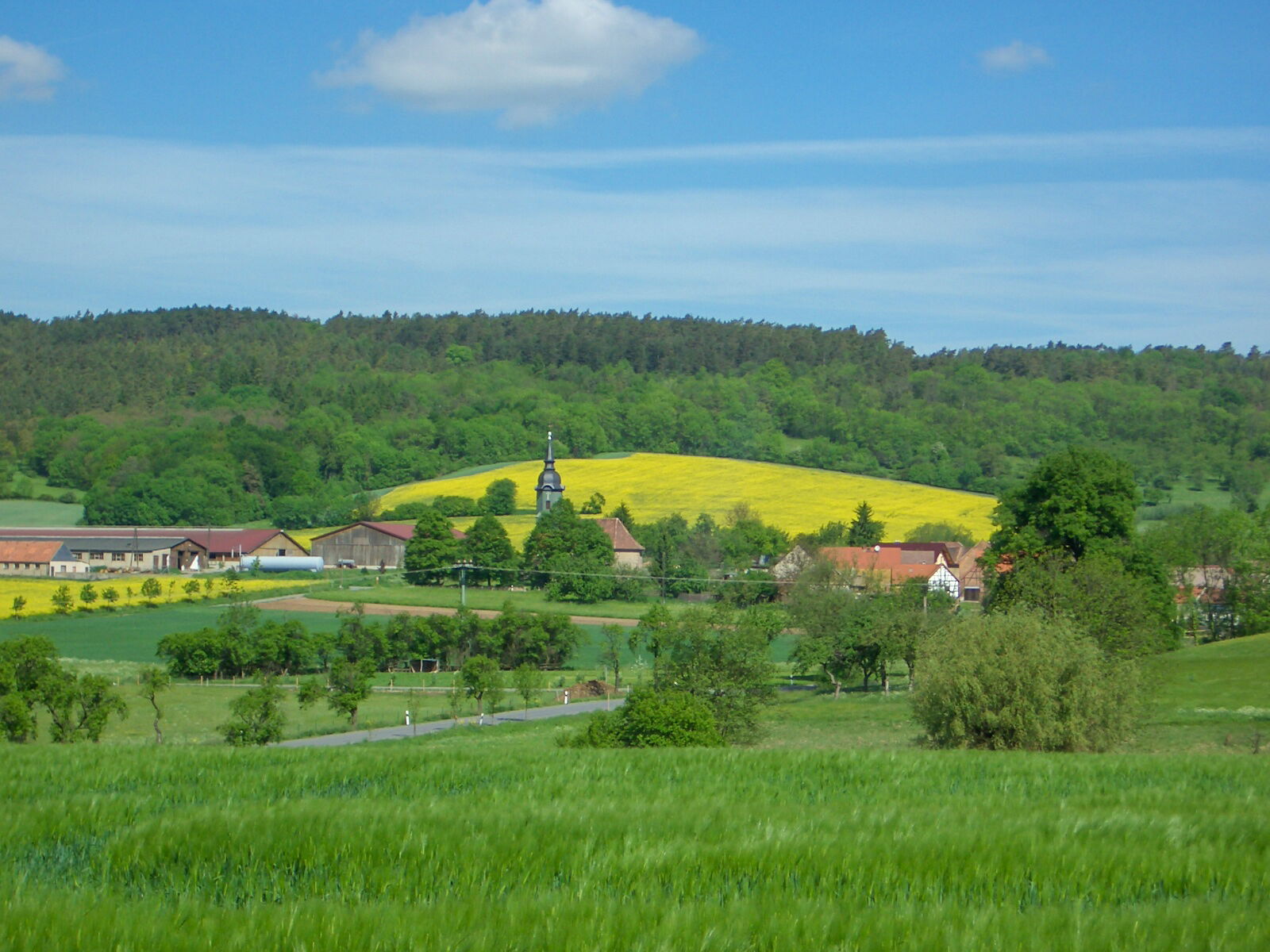 Malerische Ortsansicht von Schöngleina mit grünen Feldern, gelben Rapsfeldern und bewaldeten Hügeln.